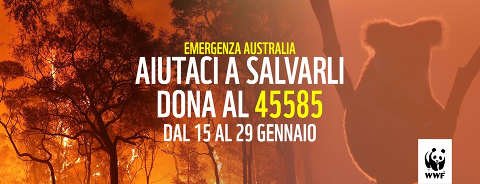 Emergenza Australia - Aiutaci a salvarli: dona al 45585 dal 15 al 29 gennaio